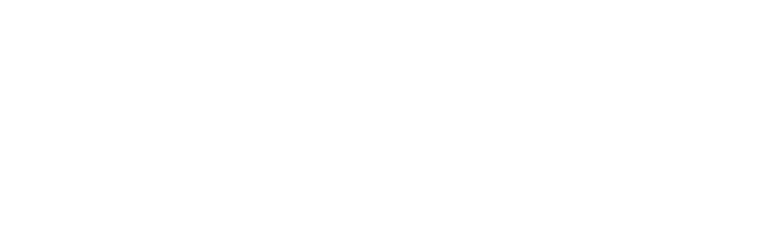 Mitter Metrologia